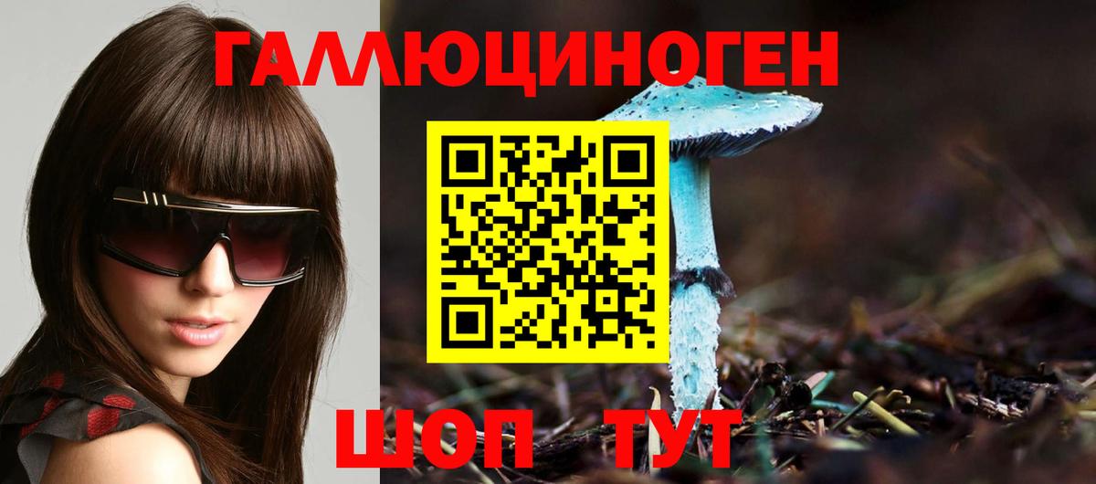 Псилоцибиновые грибы мухоморы Протвино