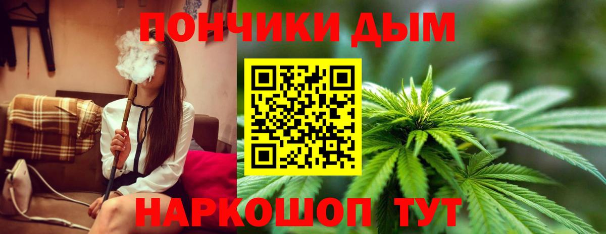 Протвино  Каннабис конопля  Вход с VPN  Конопля сатива 